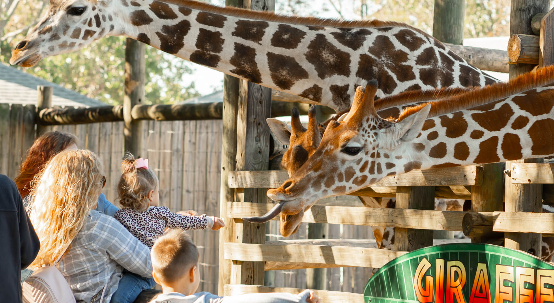 Animal Feeding